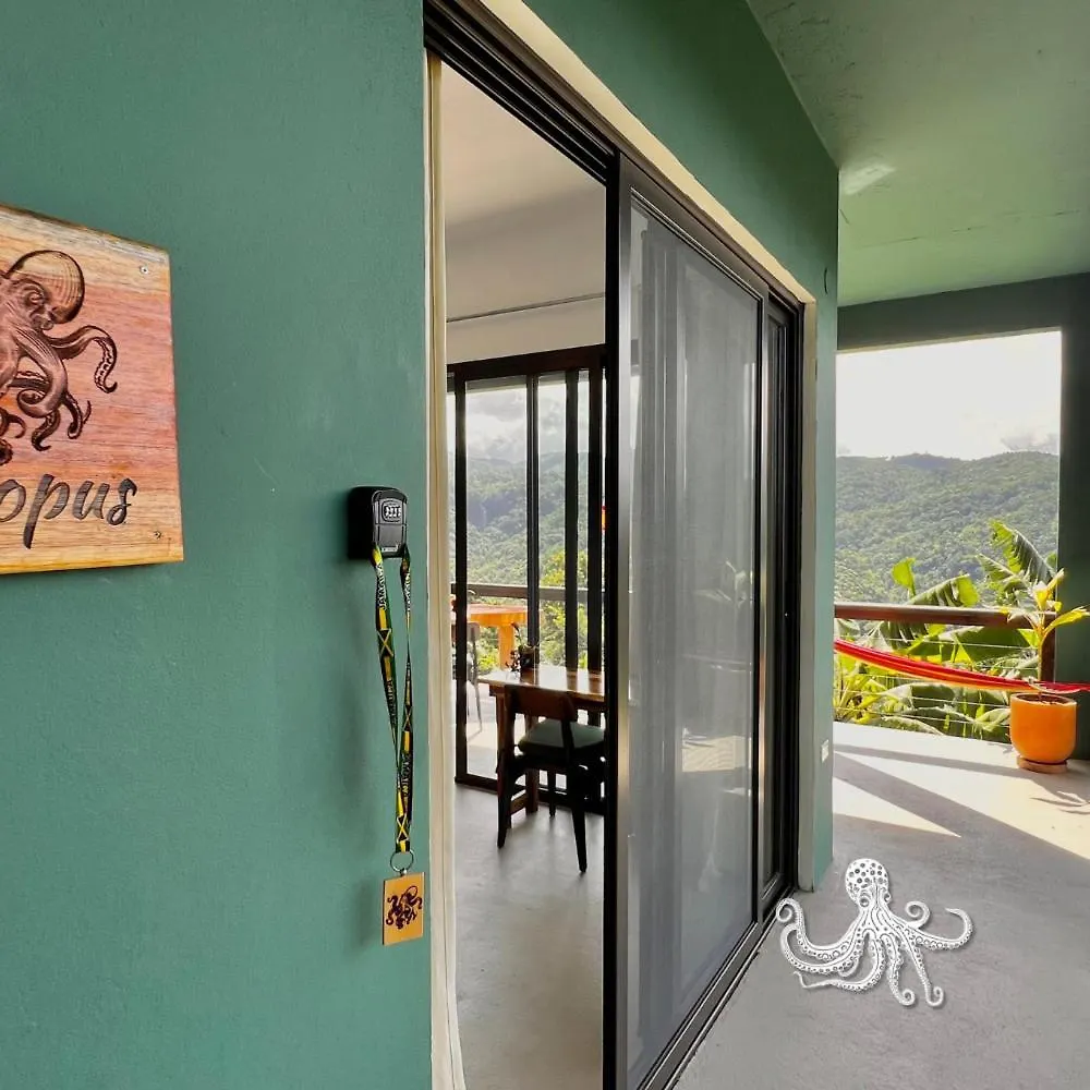 Searenity Cottages Port Antonio Apartment