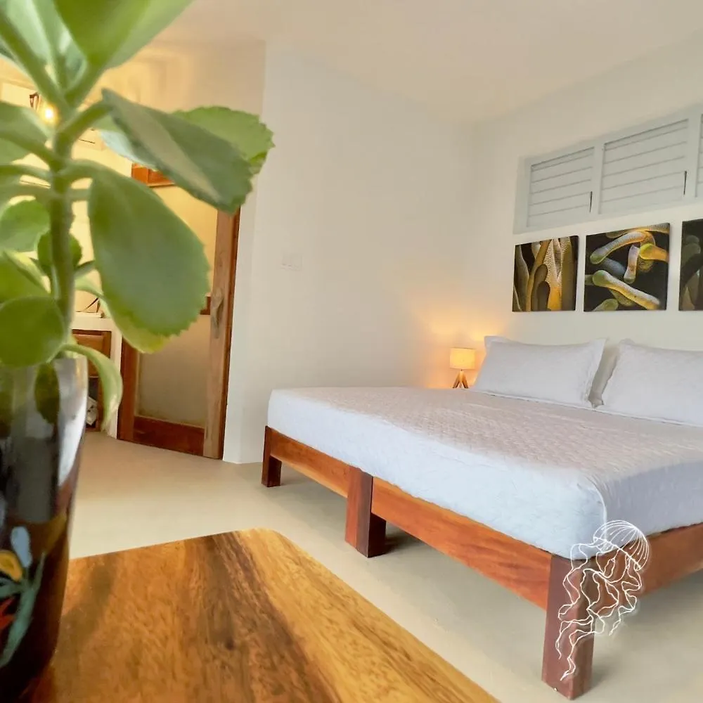 Searenity Cottages Port Antonio Apartment