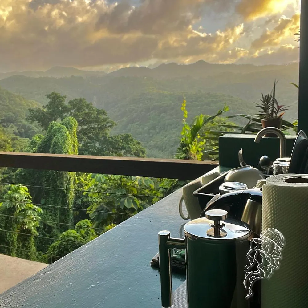 Searenity Cottages Port Antonio Apartment